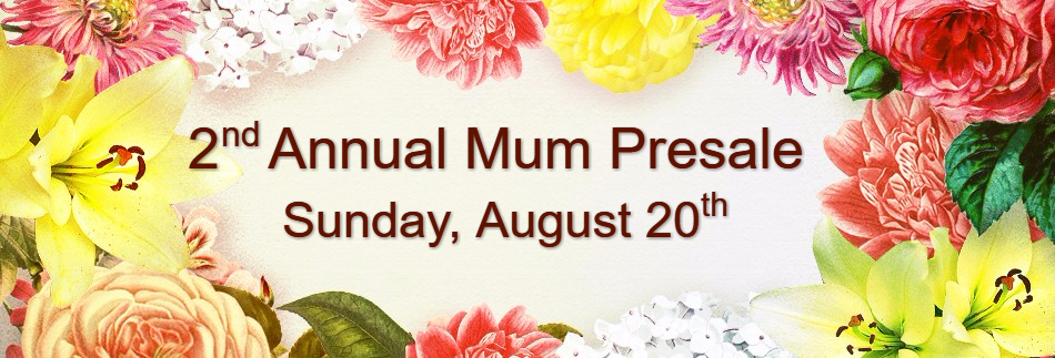 Happy Mother's Day Love Christian Website Banner